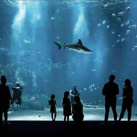 Lahoucine * Boulogne-sur-Mer