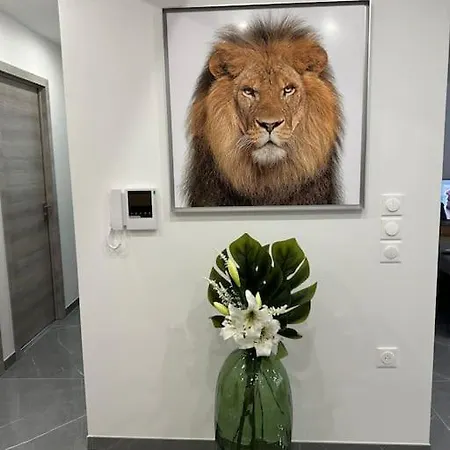 Lejlighed Lahoucine *